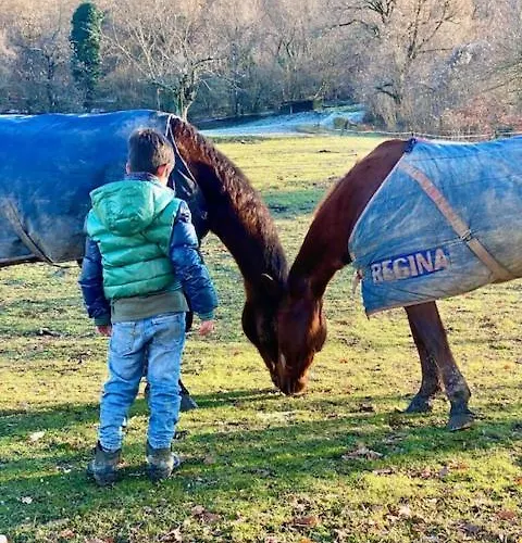 Casa Di Nàno Séjour à la ferme *